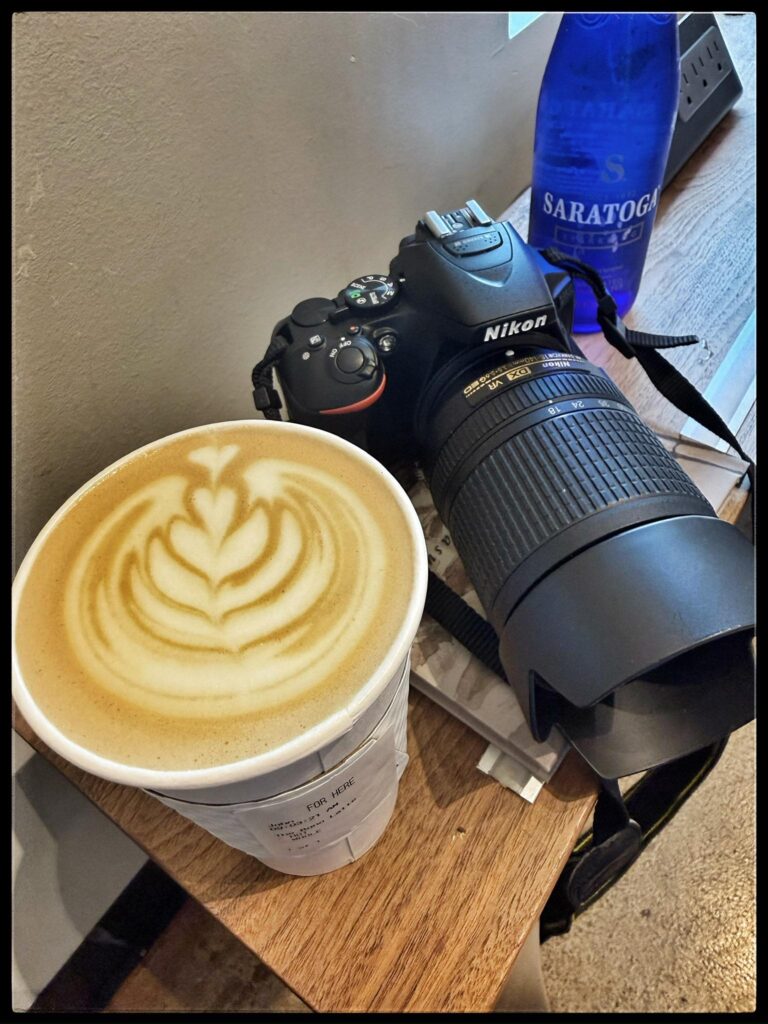 Cafe Bono, Camera, Sparkling water